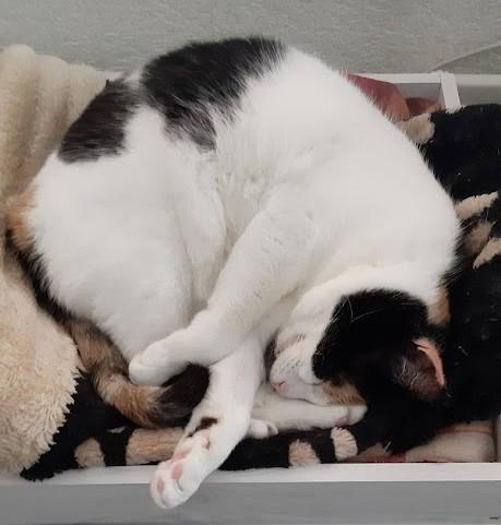 erna63 uploaded   1 year/s ago