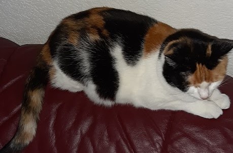 erna63 uploaded   1 year/s ago