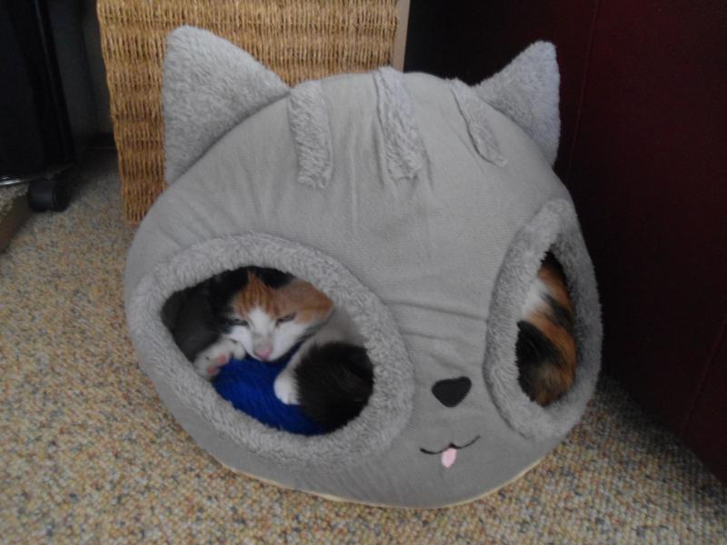 erna63 uploaded   1 year/s ago