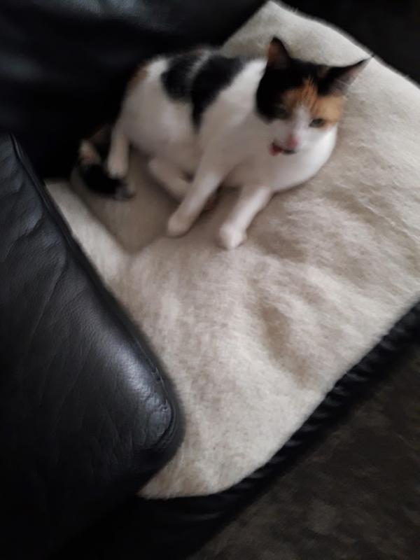 erna63 uploaded   1 year/s ago