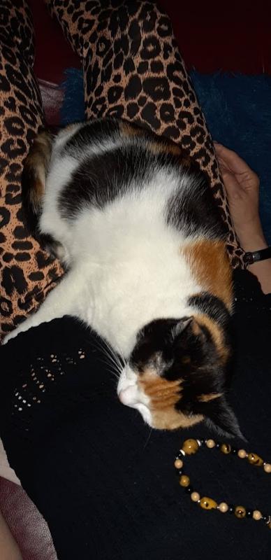 erna63 uploaded   1 year/s ago