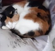 erna63 uploaded   1 year/s ago