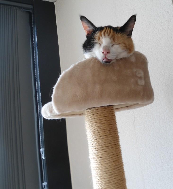 erna63 uploaded   1 year/s ago