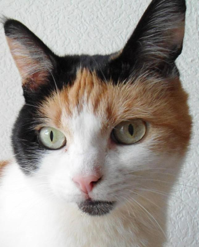 erna63 uploaded   1 year/s ago