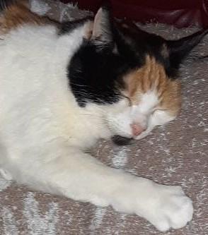 erna63 uploaded   1 year/s ago