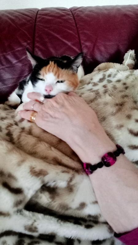 erna63 uploaded   1 year/s ago