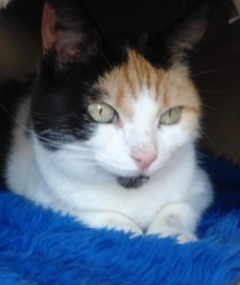 erna63 uploaded   364  day/s  ago