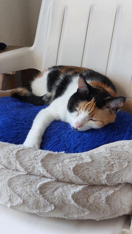 erna63 uploaded   1 year/s ago