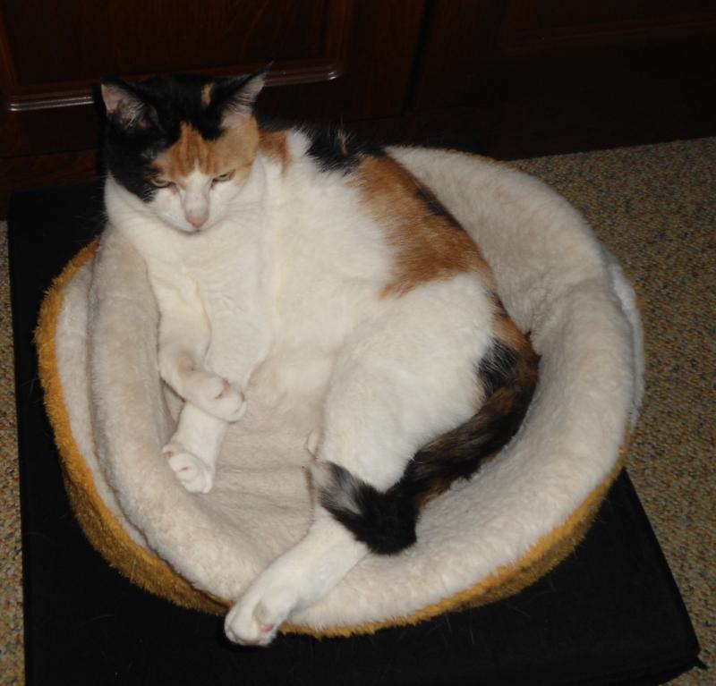 erna63 uploaded   1 year/s ago