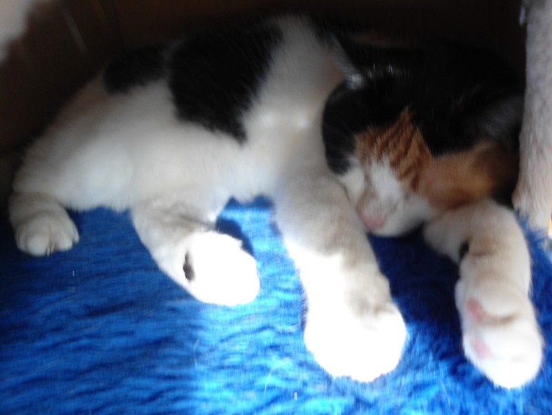 erna63 uploaded   1 year/s ago