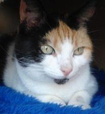 erna63 uploaded   1 year/s ago