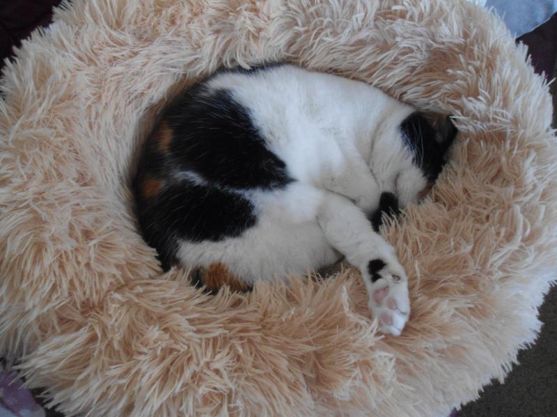 erna63 uploaded   1 year/s ago