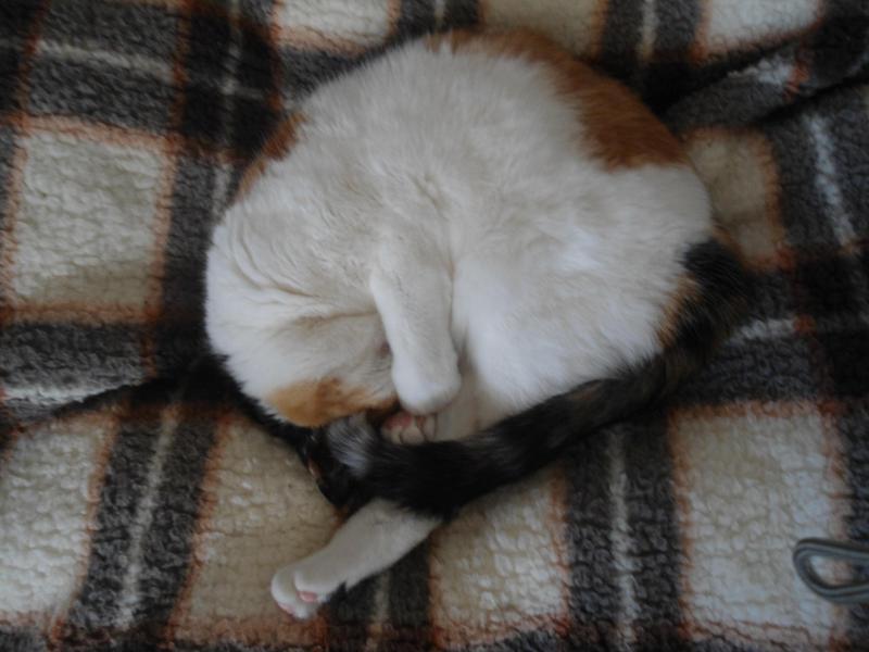 erna63 uploaded   1 year/s ago