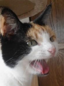 erna63 uploaded   1 year/s ago