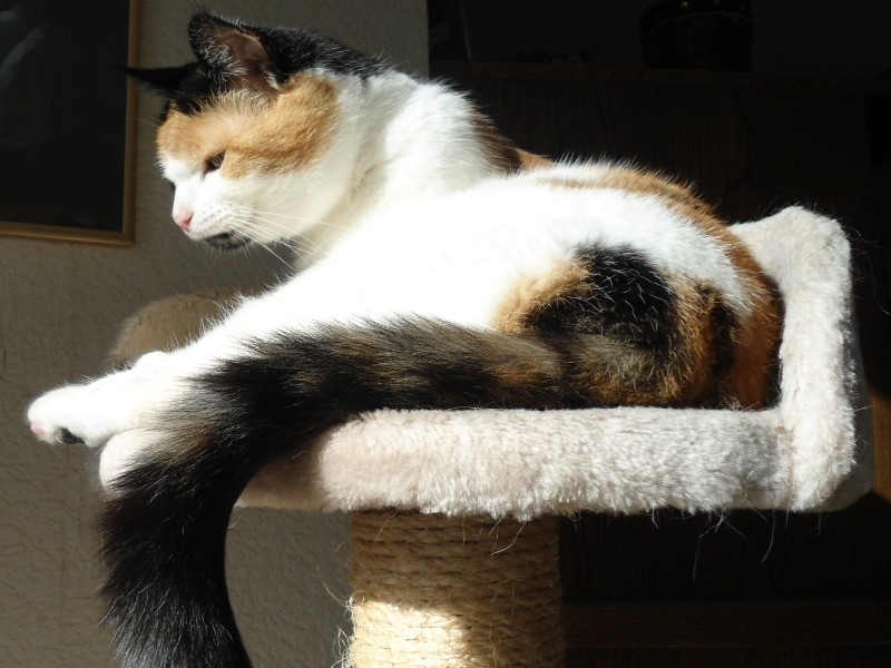 erna63 uploaded   1 year/s ago