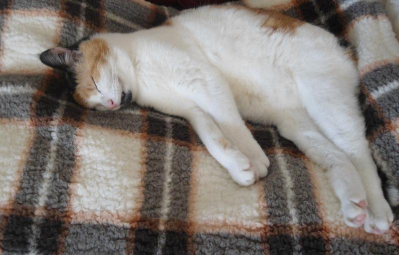 erna63 uploaded   1 year/s ago