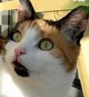 erna63 uploaded   1 year/s ago