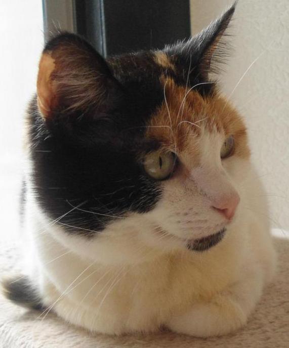 erna63 uploaded   1 year/s ago