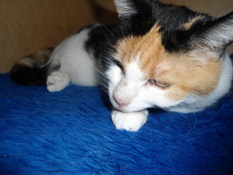 erna63 uploaded   1 year/s ago