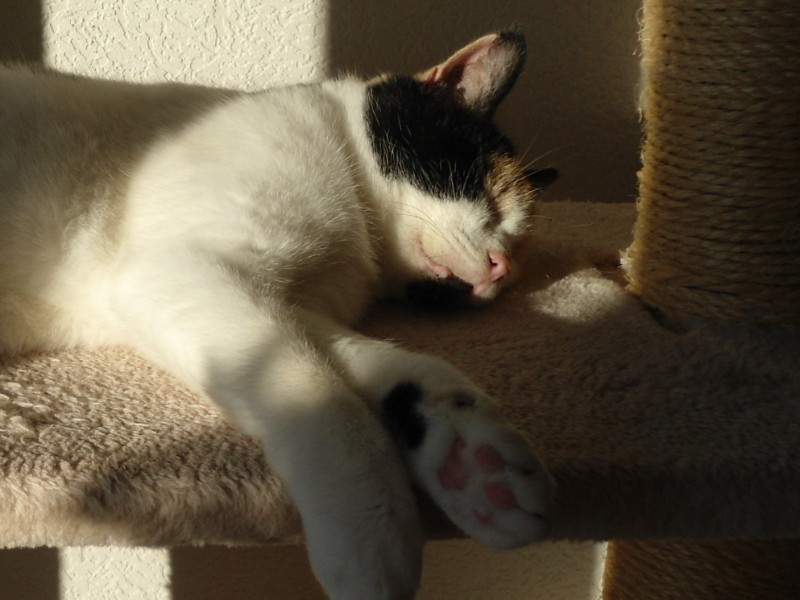 erna63 uploaded   1 year/s ago