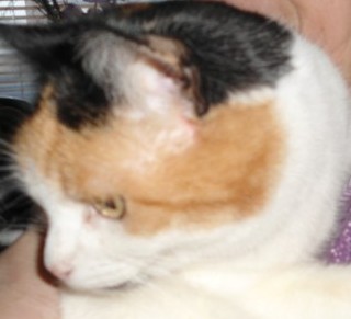 erna63 uploaded   1 year/s ago