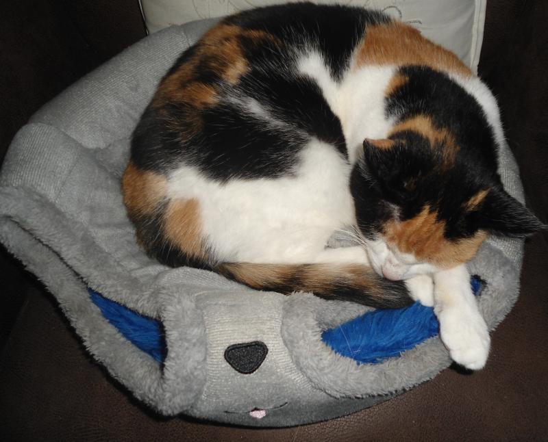 erna63 uploaded   351  day/s  ago