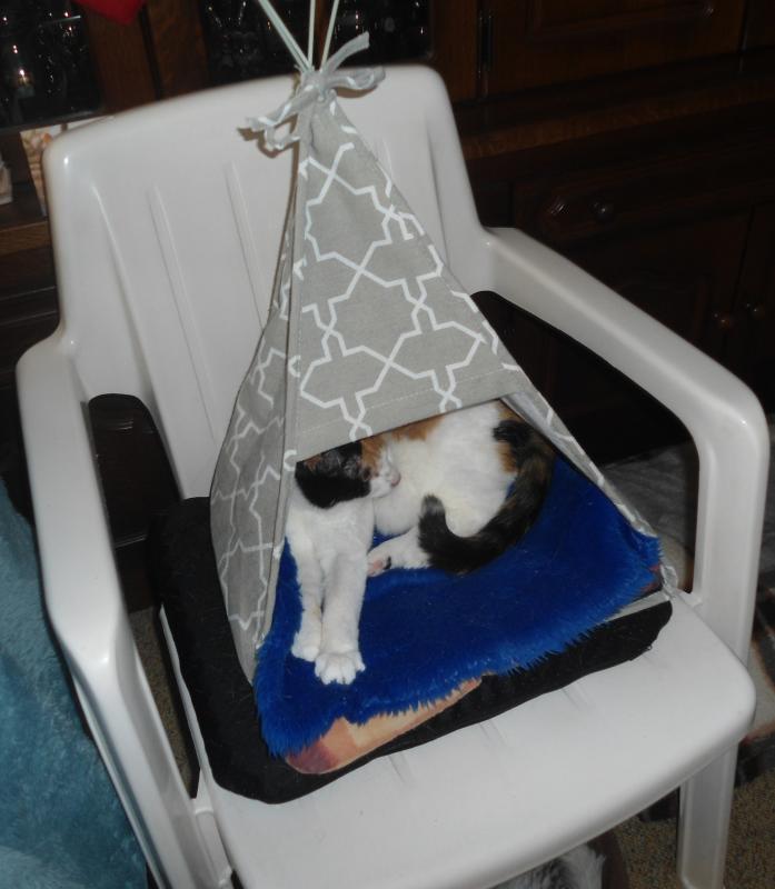 erna63 uploaded   350  day/s  ago