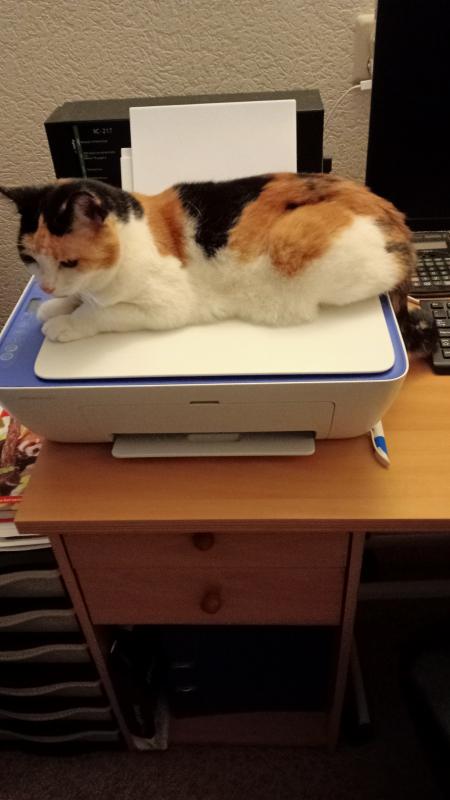 erna63 uploaded   349  day/s  ago