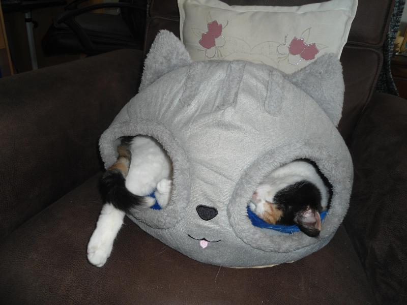 erna63 uploaded   347  day/s  ago