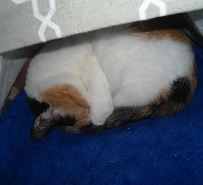 erna63 uploaded   344  day/s  ago