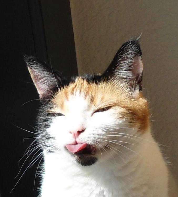 erna63 uploaded   344  day/s  ago