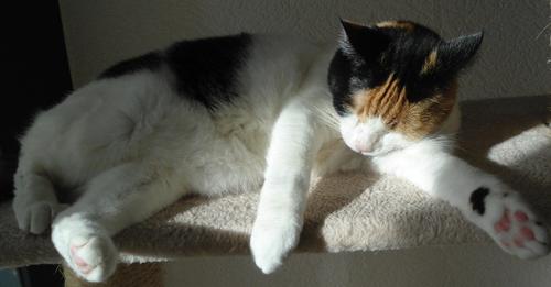 erna63 uploaded   342  day/s  ago