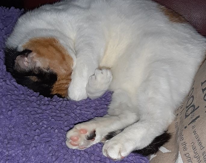 erna63 uploaded   342  day/s  ago