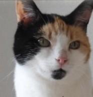 erna63 uploaded   341  day/s  ago