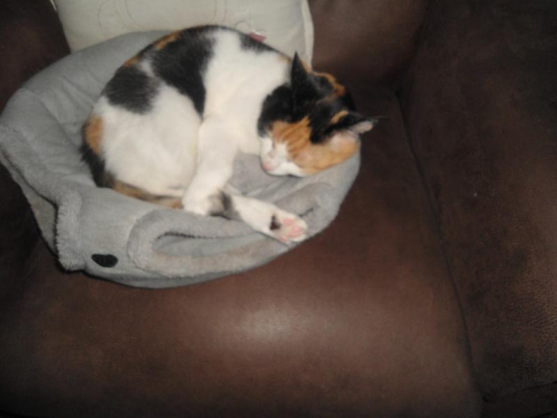 erna63 uploaded   340  day/s  ago