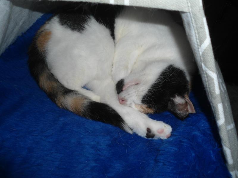 erna63 uploaded   340  day/s  ago