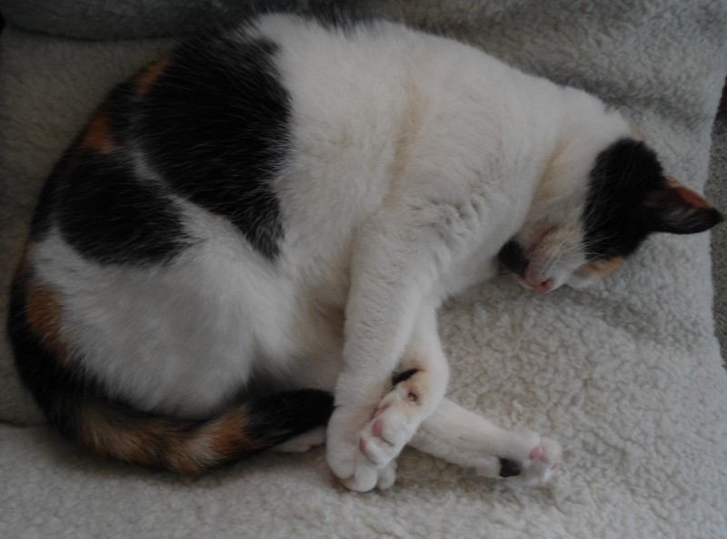 erna63 uploaded   339  day/s  ago