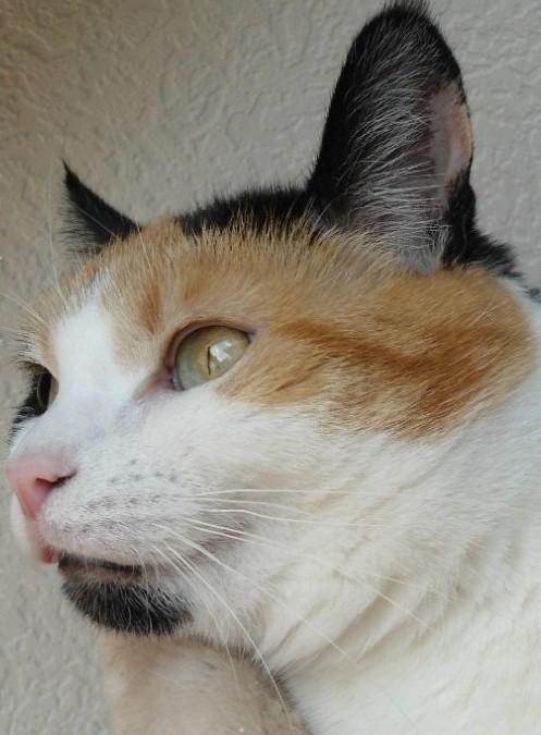 erna63 uploaded   338  day/s  ago