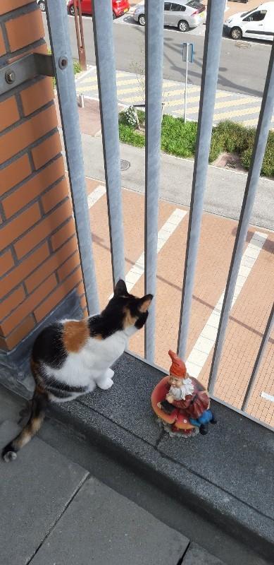 erna63 uploaded   336  day/s  ago