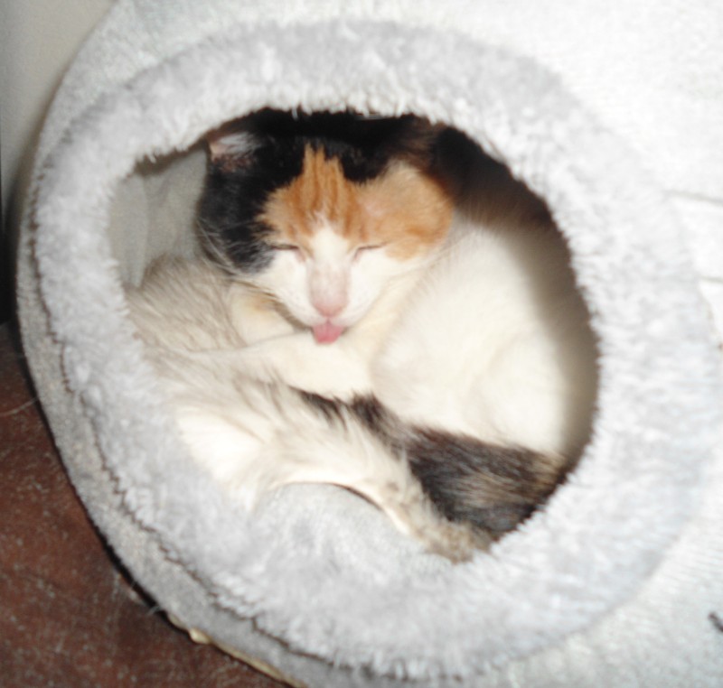 erna63 uploaded   334  day/s  ago