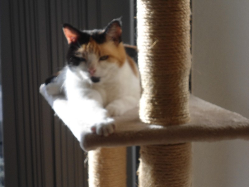 erna63 uploaded   333  day/s  ago