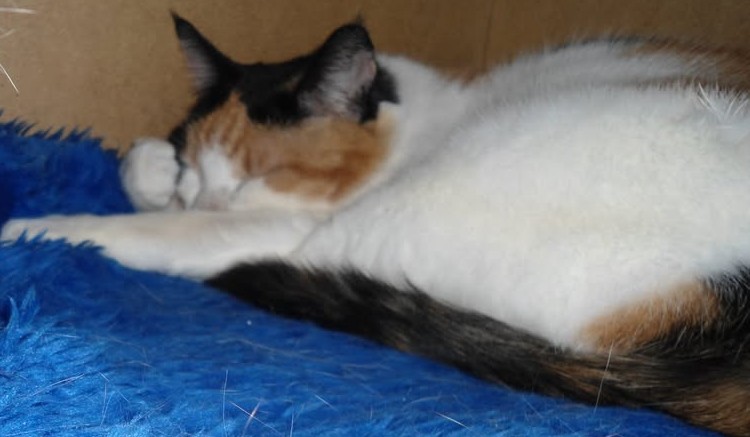 erna63 uploaded   361  day/s  ago