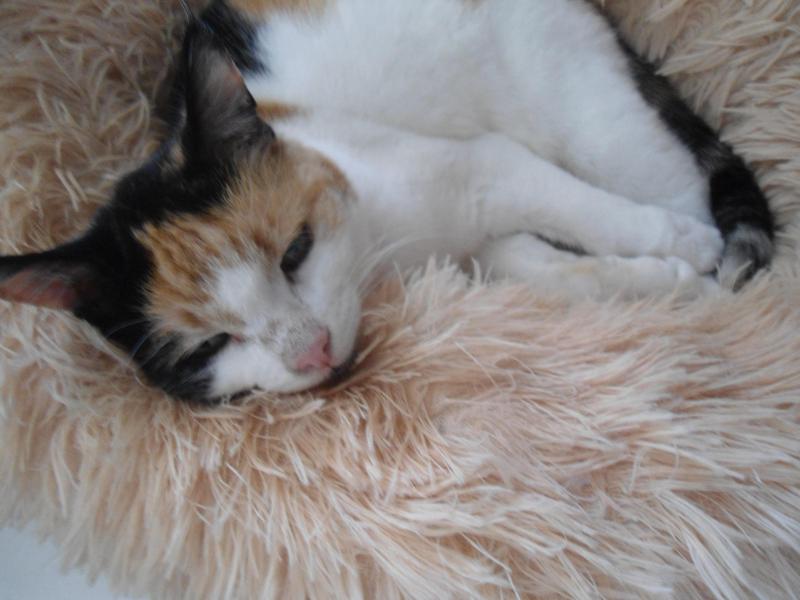 erna63 uploaded   361  day/s  ago