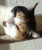 erna63 uploaded   361  day/s  ago