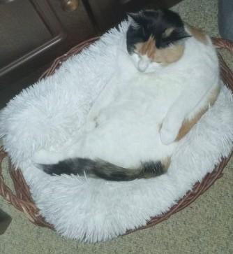 erna63 uploaded   361  day/s  ago