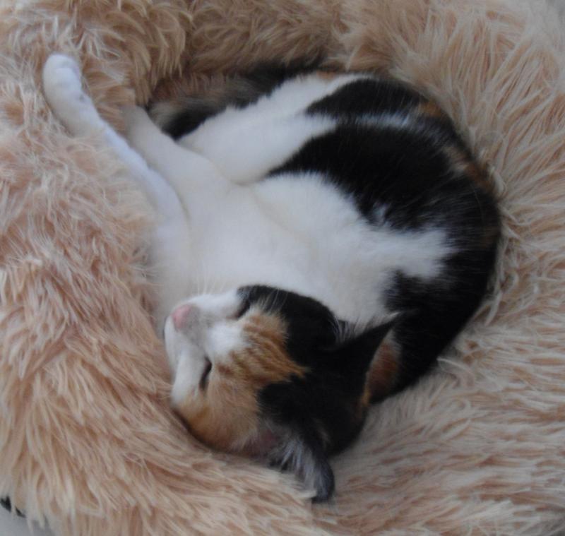 erna63 uploaded   359  day/s  ago