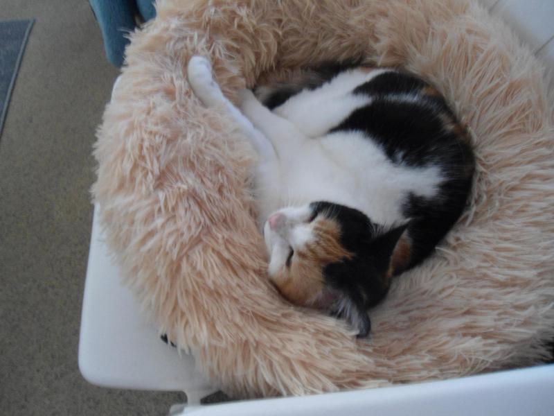 erna63 uploaded   356  day/s  ago