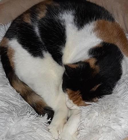 erna63 uploaded   356  day/s  ago