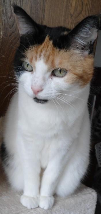 erna63 uploaded   356  day/s  ago