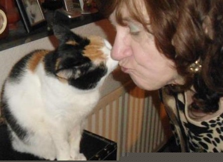 erna63 uploaded   354  day/s  ago